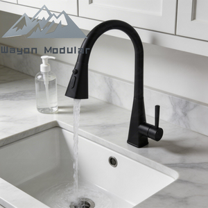 Robinet <span class=keywords><strong>de</strong></span> cuisine moderne Wayon en acier brossé noir, extractible, pour comptoirs en marbre - Product Image 1