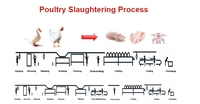 Équipement d'abattage de volailles Maisheng Ligne d'abattage d'usine de transformation de poulet avec moteur comme composant principal
