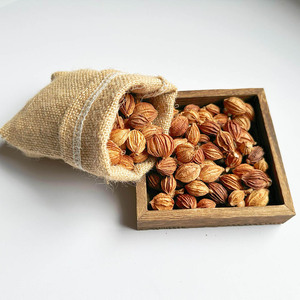 Épice simple herbesChina Amomum Fructus Amomi Cardamome parfumée pour cuisinier - Product Image 6