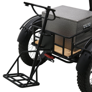 Triciclo con Canasta Delantera y Trasera de Diseño Innovador, Neumáticos Anchos, Tipo Carrito de Golf, Alcance de 50-70 km, Motor de Alto Rendimiento de 500W - Product Image 3