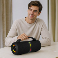 BKK / OEM 26W IPX6 Enceinte portable avec lumière RGB pour fêtes en extérieur
