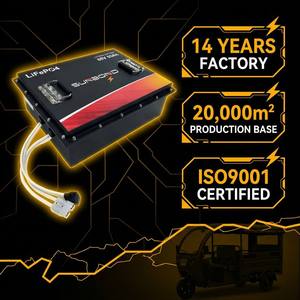 Tricycle électrique, rickshaw électrique, batterie 60V 50Ah LiFePO4 Lithium-ion à décharge profonde avec protection BMS pour véhicules à 3 roues (cargo et passagers) - Product Image 4