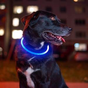 USB Rechargeable LED <b>Dog</b> Collar Night Safety Light Luminous <b>Dog</b> Collars for Night Walking USB Rechargeable LED Promotional Pet - Product Image 6