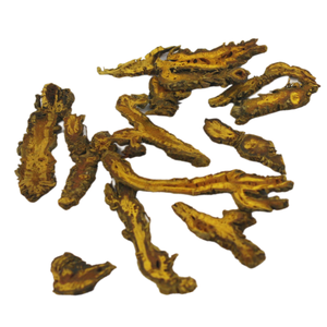 rhizoma coptidis chinese herbs for factory outlet