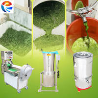 Pandanbladeren Groente Fruit Bellenwasmachine Snijmachine en Sapblender