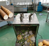Automatische snijmachine voor fruit, aardappelen, uien en groenten/onderwaartse druk fruit- en groentesnijder