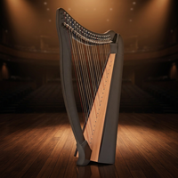 Harpe à 22 cordes avec leviers