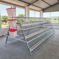 Vente Flash : Cage à Poules Pondeuses Type A à 4 Niveaux pour 160 Oiseaux, Équipement d'Élevage Avicole avec Système d'Alimentation Automatique