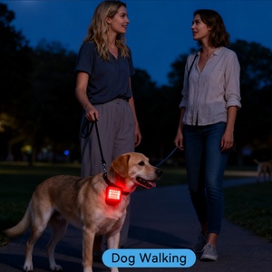 Lampe de sécurité LED rechargeable EGH pour la course et les chaussures, avec aimant, pour les coureurs - Product Image 1