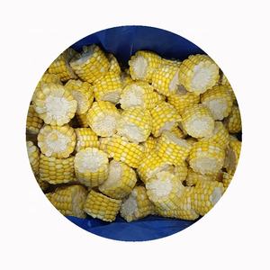 Emballage personnalisé IQF <span class=keywords><strong>fruits</strong></span> <span class=keywords><strong>et</strong></span> <span class=keywords><strong>légumes</strong></span> frais en vrac prix du marché du maïs sucré congelé partie entière - Product Image 4