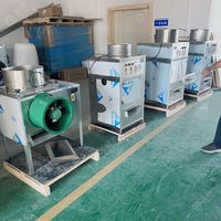 Machine à éplucher l'ail à économie d'énergie avec panneau de commande facile à utiliser Machine à éplucher l'ail robuste Traitement en vrac approprié