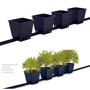 Tomatoes hydroponic dutch bucket square grow pots system