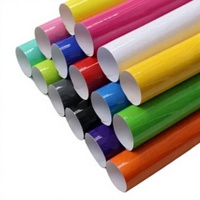 Vinilo Adhesivo de PVC Reposicionable y Removible para Letras Troqueladas, Ideal para Señales de Puerta, Advertencias Viales y Decoración de Paredes de Tiendas