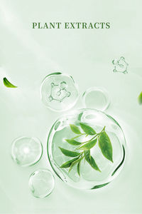 Esurey Supply Extrait de cacahuète de haute qualité, Lutéoline 98%, Extrait de coque de cacahuète - Product Image 3