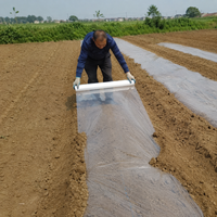 Film de paillage agricole transparent en polypropylène HNTF 1,2 m x 1000 m 20 microns, directement de l'usine, pour le réchauffement du sol et la rétention de l'humidité