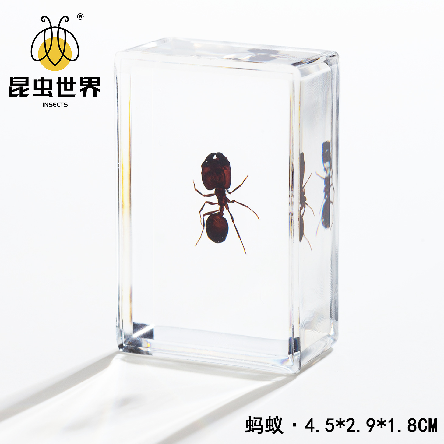 ant category-452918cm