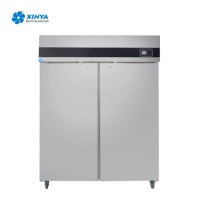 Congélateur commercial à double porte, en acier inoxydable, compatible GN2/1, refroidissement par ventilateur, réfrigérateur HoReCa EUF-2D XINYA
