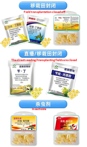 Máquina de Envasado de Película Soluble en Agua con Sellado Trasero para Gránulos de Alimento para Peces de Mar Tipo Clownfish - Product Image 5