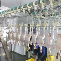 Qingdao Raniche Poultri işlem tavuk ayak kemik temizleme makinesi otomatik