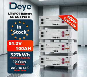 بطارية Deye الأكثر مبيعًا طراز SE-G5.1 Pro-B منخفضة الجهد 51.2 فولت، بطارية ليثيوم فوسفات 100 أمبير ساعة شائعة الاستخدام في أنظمة الطاقة الشمسية للمنازل والمؤسسات التجارية - Product Image 1