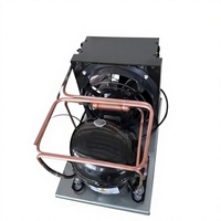 Installation facile, économie d'énergie, faible bruit, respectueux de l'environnement, unité de condensation de refroidissement montée en hauteur de 1/3 CV, moteur Embraco intégré