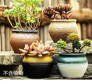 Paars Zand Aardewerk Ademend Bloempot Aardewerk Groene Planten Succulent Pot