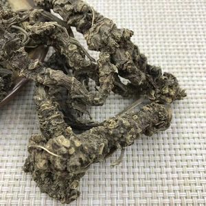 Venta al por Mayor <span class=keywords><strong>de</strong></span> Raíz <span class=keywords><strong>de</strong></span> <span class=keywords><strong>Valeriana</strong></span> Officinalis Seca, Suministro a Granel <span class=keywords><strong>de</strong></span> Raíz <span class=keywords><strong>de</strong></span> <span class=keywords><strong>Valeriana</strong></span>, <span class=keywords><strong>Precio</strong></span> Económico - Product Image 5