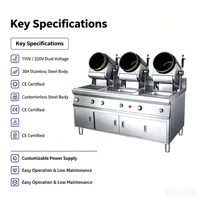 Máquina de Arroz Frito Automática Eléctrica/a Gas de Acero Inoxidable Personalizada de Fábrica 110V 220V, Robot de Cocina Automático para Saltear, Wok