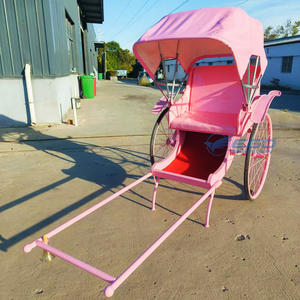 Triciclo Eléctrico Plegable con Capota, Estilo Rickshaw Vintage, Jinrikisha de Empuje Manual, Estilo Carruaje Real - Product Image 4