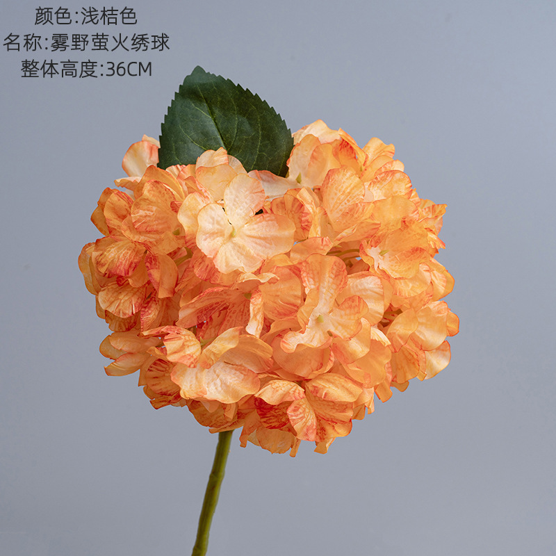 Orange clair