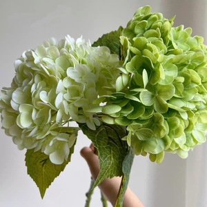 Tallo de hortensia verde claro realista de alta calidad Artificial Real Touch Hortensia blanca 196 pétalos para la decoración del jardín del hogar de la boda - Product Image 5