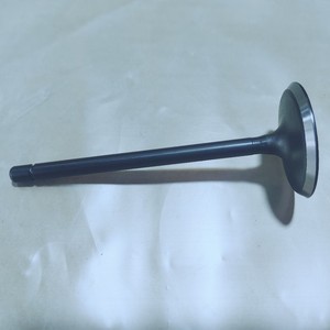 Soupape d'admission et d'échappement 12610931 12621548 pour moteur Lfx 3.6, pièce de rechange - Product Image 1