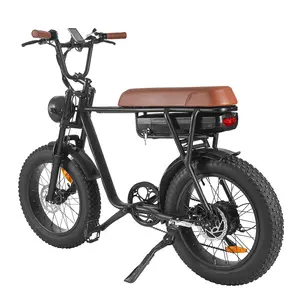 EU USA AU Warehouse 500W Electric Bike For Adult 2 Seat's 48V 10AH Lithium Battery Ebike