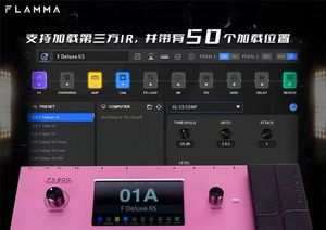 Unité d'effets de guitare électrique <span class=keywords><strong>FLAMMA</strong></span> FX-200 avec interface tactile Haut-parleur Fabriqué dans le Hunan Métal et plastiques - Product Image 5