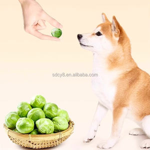 Alimento para Animais de Estimação, Frutas e Vegetais Liofilizados, Snacks de Repolho Liofilizado para Animais de Estimação - Product Image 4