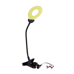Éclairage extérieur vertical DC12V 30W, anneau LED étanche IP65 pour le camping - Product Image 1