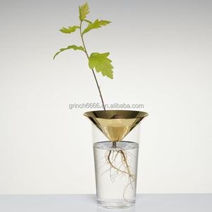 Aguacate <span class=keywords><strong>de</strong></span> bellota <span class=keywords><strong>de</strong></span> cono Sprouters florero aguacate Bellota semillas <span class=keywords><strong>de</strong></span> propagación florero - Product Image 4