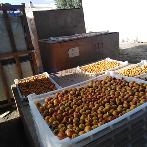 Khay Máy sấy thực phẩm dehydrator Máy sấy trái cây và rau quả mất nước máy ngày bơ mơ nho máy sấy máy - Product Image 5