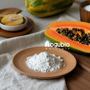 パパイヤ粉末50000u/g-1500000U/G CAS 9001-73-4天然パパイヤエキス粉末パパイン酵素粉末 - Product Image 4