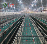 Cage à poulets automatique de type H pour l'élevage de volailles, avec grille à lattes extractible, pour poulets de chair, capacité 1000, en acier galvanisé à chaud, Nouveau modèle U-Best Shandong