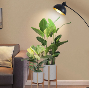 หลอดไฟปลูกต้นไม้ J&C Grow Light A60 A19 สเปกตรัมเต็มรูปแบบ ขั้ว E27 E26 สำหรับปลูกพืชในร่มและเพาะเมล็ด - Product Image 4