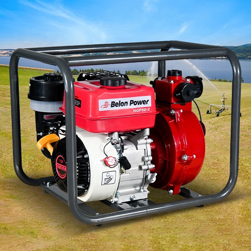 Portable 2 Inch Gasoline Water Pump