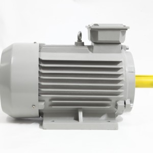 Motores de CA Serie YE Y2 315L2-6 de 2 <span class=keywords><strong>HP</strong></span> a 75 <span class=keywords><strong>HP</strong></span>, 750 RPM - 3000 RPM, 220V, 50Hz, Motores de Inducción Trifásicos - Product Image 4