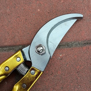 Tijeras de <span class=keywords><strong>podar</strong></span> profesionales, herramientas de jardín con mango de Metal, tijeras <span class=keywords><strong>para</strong></span> <span class=keywords><strong>podar</strong></span> flores, <span class=keywords><strong>árboles</strong></span> frutales, <span class=keywords><strong>árboles</strong></span> de arce - Product Image 4
