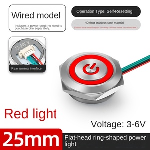 25MM Stainless Steel Button Flat Head 1NO Ring Illuminated IP65 3A 220V Home Appliance Use with Light - Product Image 3