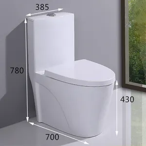 China Factory Direct Wholesale 1-Piece White Ceramic S-Shape WC Toilet Modern Home Sanitary Ware With Direct PP Material