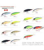 Leurre de pêche en plastique pour eau salée, 10 cm, 15 g, haute qualité, 29 couleurs, emballage personnalisé, OEM, leurre dur, type minnow