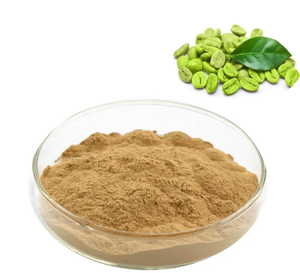 베스트 프라이스 하이 퀄리티 그린 커피 콩 추출물 분말 판매 - Product Image 6