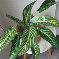 Plante artificielle réaliste et durable en feuilles de arrowroot variées, 58 cm, 12 têtes, en plastique, pour décoration intérieure et extérieure