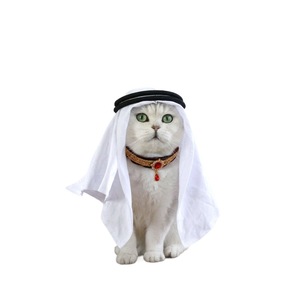 Pañuelo para la Cabeza de Lujo con Diseño Árabe de Oriente Medio, Personalizado, a Cuadros Rojos, para Mascotas, Perros y Gatos, Accesorios para Fotos, para Todas las Estaciones - Product Image 1